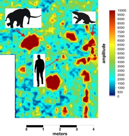 透地雷達探測更新世『鬼迹』