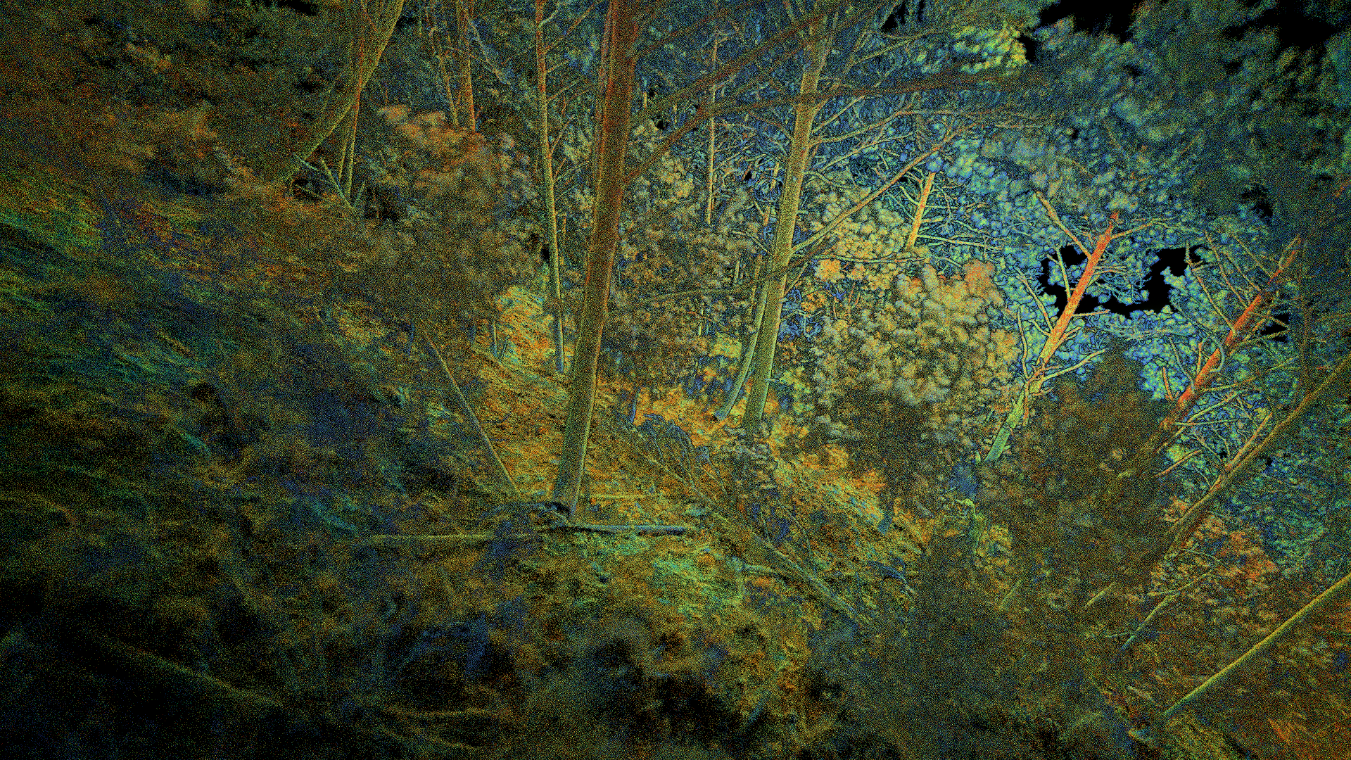 Hovermap 實例分享 - 梨山森林調查並取得 3D 數據