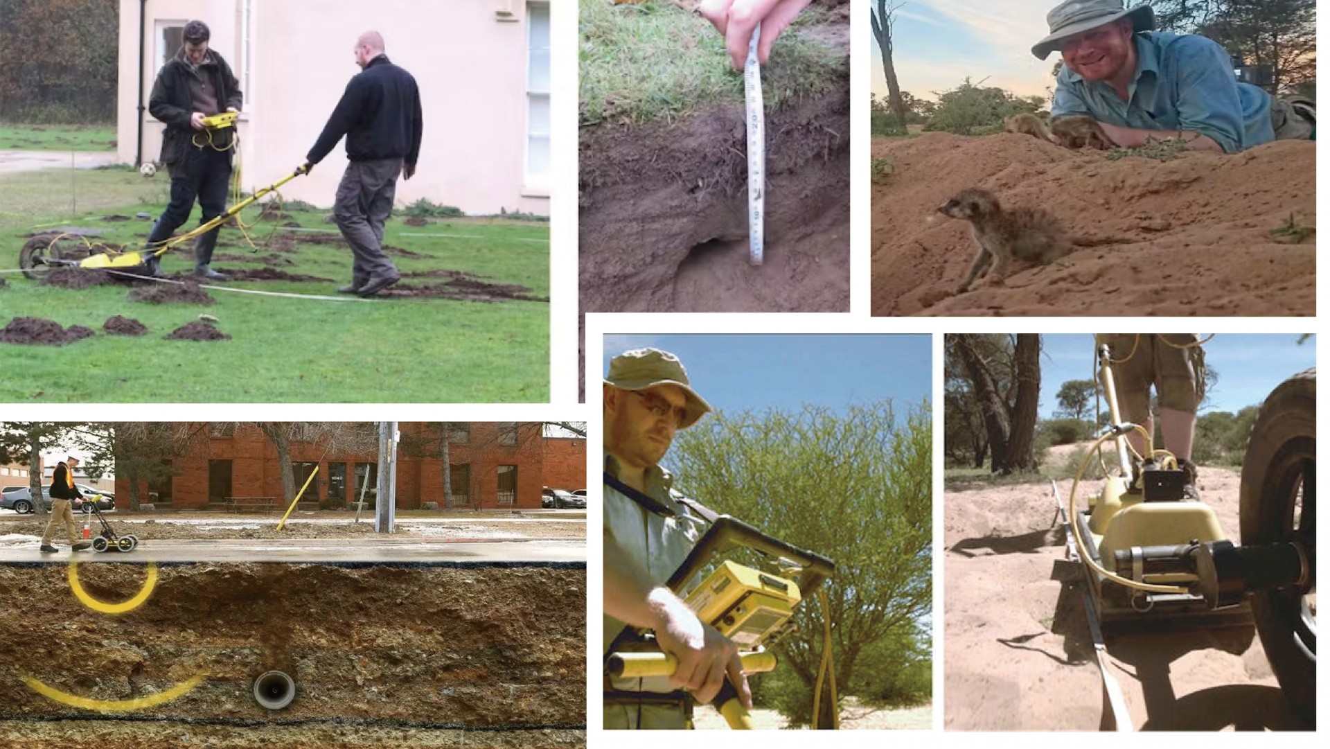 不止工程應用，GPR透地雷達也可以拿來做動物生態調查！