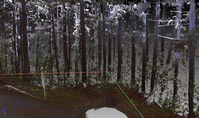 2.png - 三維雷射掃描儀在林業調查的應用