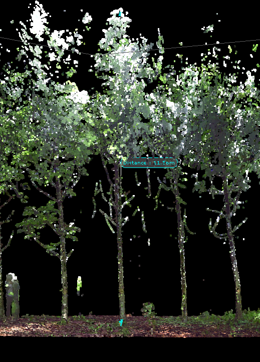 9.png - 三維雷射掃描儀在林業調查的應用