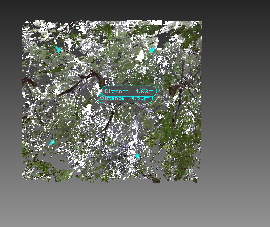 10.png - 三維雷射掃描儀在林業調查的應用