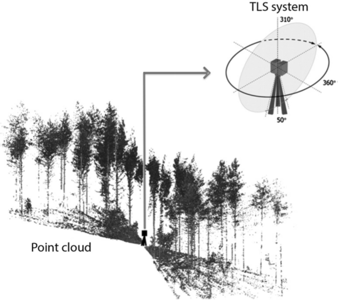 雷射掃描技術應用–林業應用