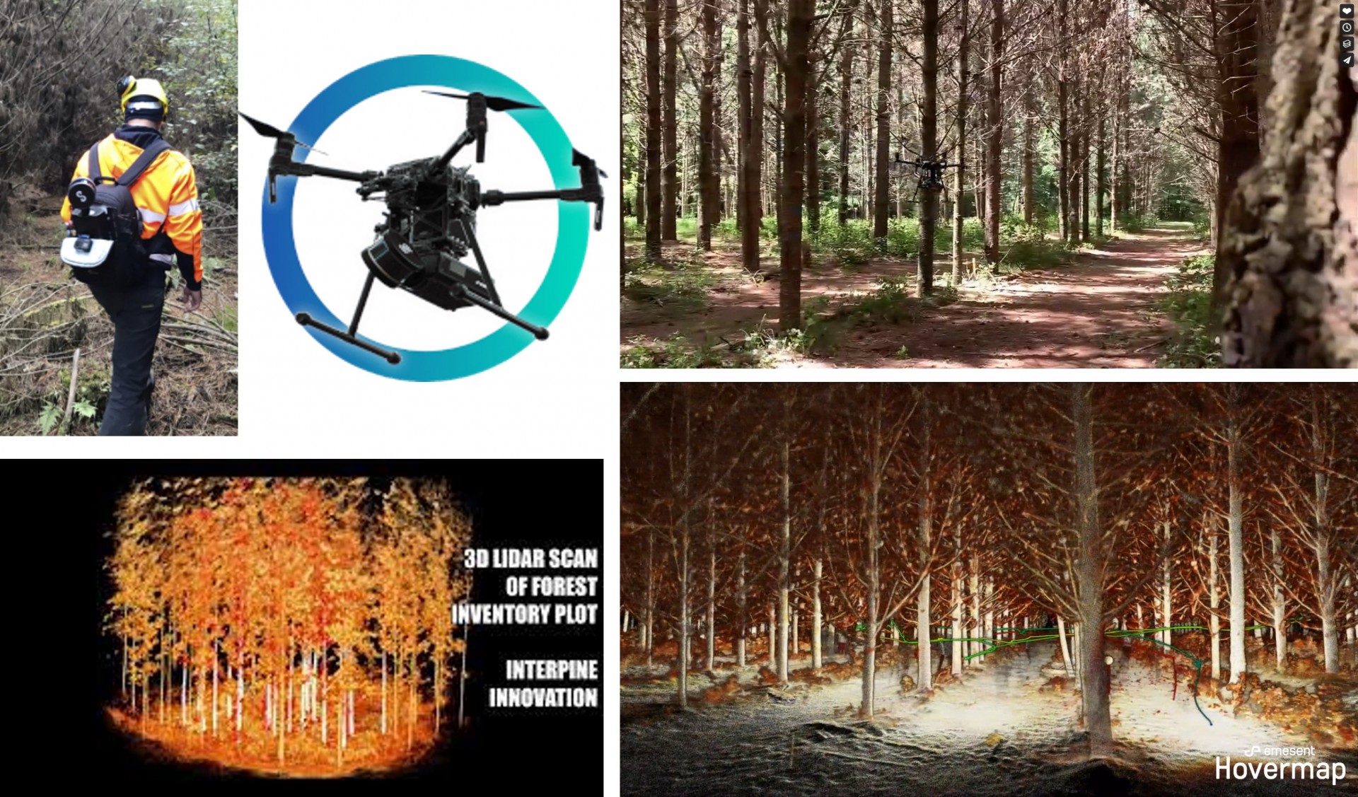 利用雷射掃描技術協助林業應用