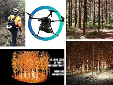 利用雷射掃描技術協助林業應用