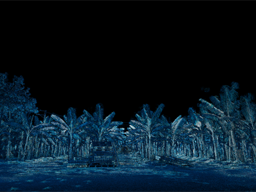 【實例分享】香蕉園掃描 - 移動式光達的農業應用