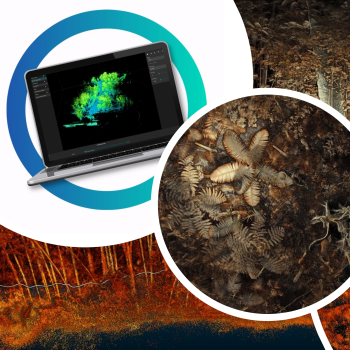 用Emesent Hovermap快速獲取森林點雲資料 - 掃描可以這麼簡單