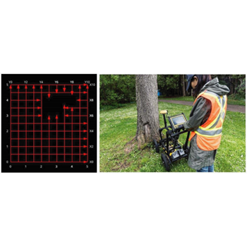 不需開挖！就能探測樹木地下根系的深度切片影像