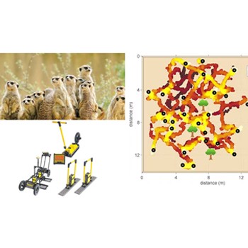 不止工程應用，GPR透地雷達也可以拿來做動物生態調查！